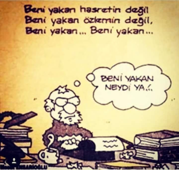 Bayan arkadaş ariyorum